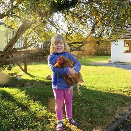Heatherhill Farm Cottage In Letterfrack Beside Connemara National Park Екстер'єр фото