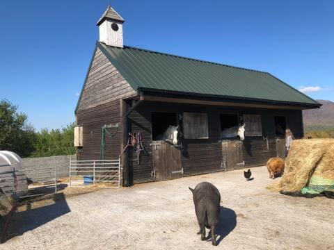 Heatherhill Farm Cottage In Letterfrack Beside Connemara National Park Екстер'єр фото