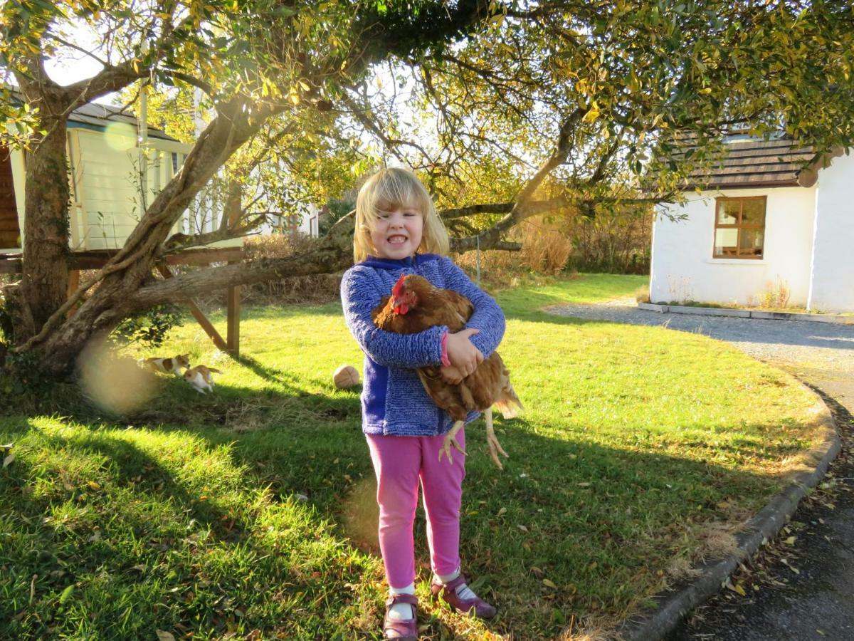 Heatherhill Farm Cottage In Letterfrack Beside Connemara National Park Екстер'єр фото